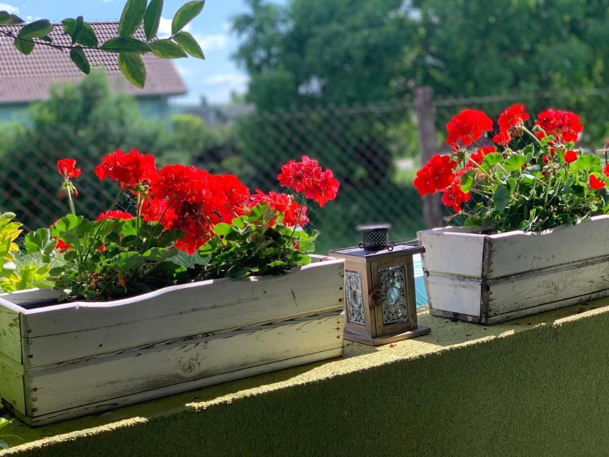 Apartmany Zeleny Dom Podhájska Εξωτερικό φωτογραφία